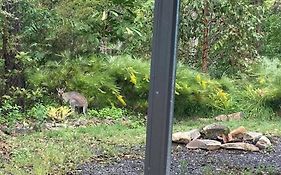 Austinville Hinterland Chalet